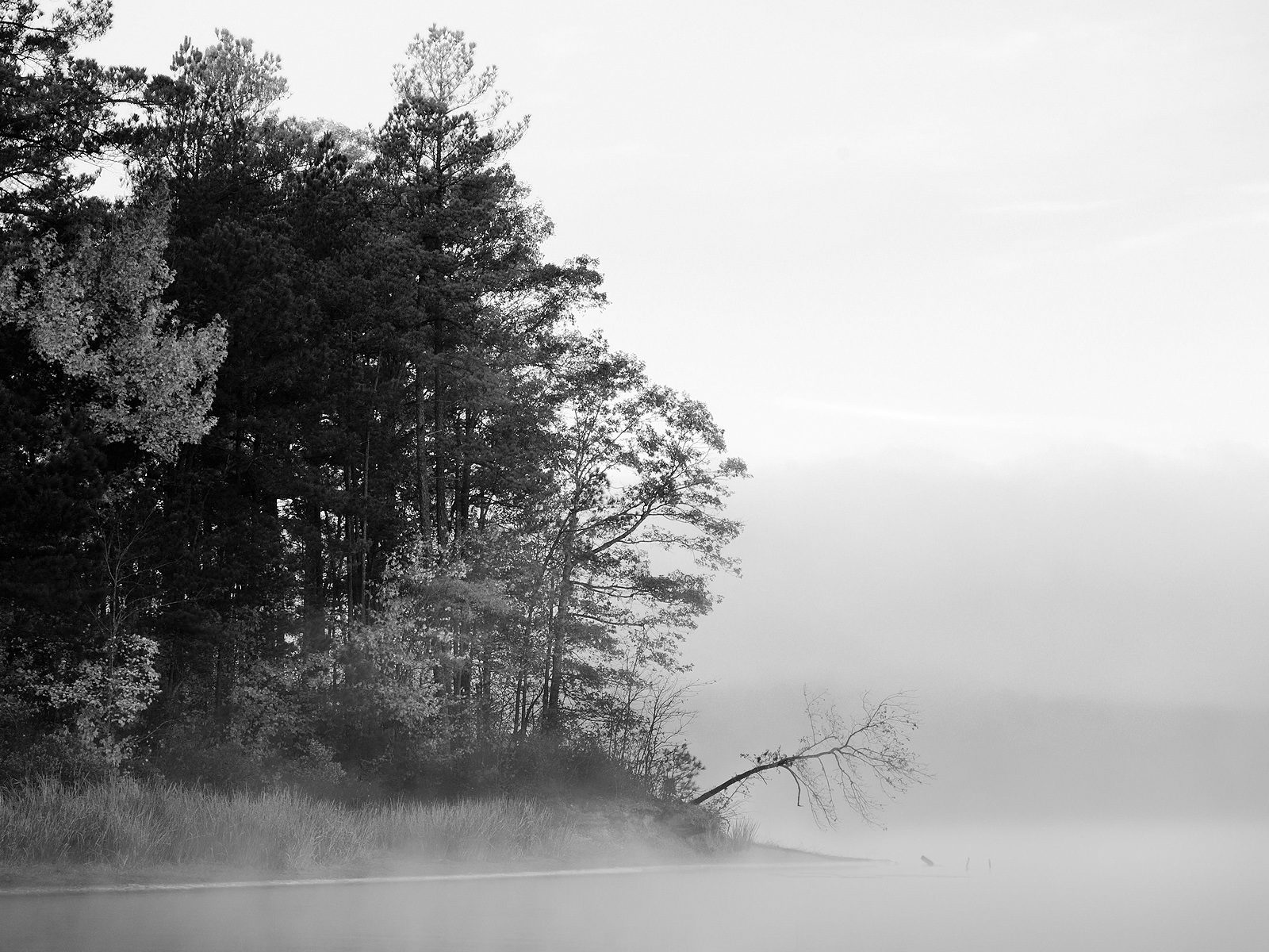 Bw Harris Lake Best Background Full HD1920x1080p, 1280x720p, – HD Wallpapers Backgrounds Desktop, iphone & Android Free Download